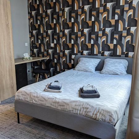 Le 12 Wifi Cosy Parking 3 Leilighet Saint-Etienne  Eksteriør bilde